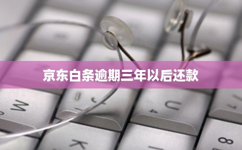 京东白条逾期三年以后还款