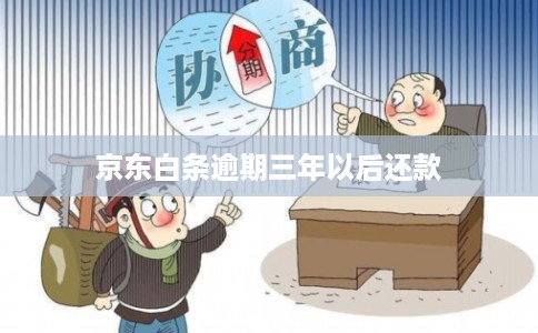 京东白条逾期三年以后还款