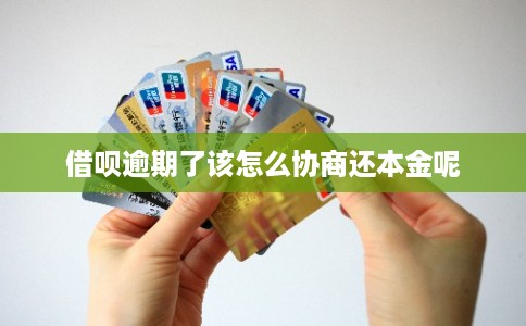 借呗逾期了该怎么协商还本金呢