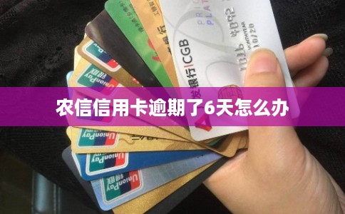农信信用卡逾期了6天怎么办