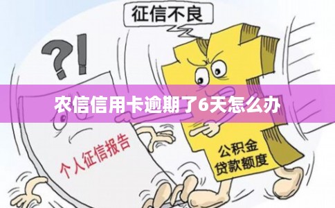 农信信用卡逾期了6天怎么办