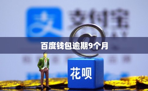 百度钱包逾期9个月