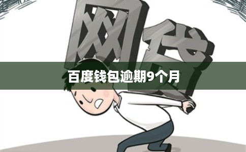 百度钱包逾期9个月