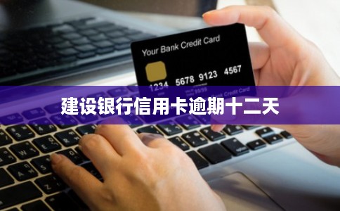 建设银行信用卡逾期十二天