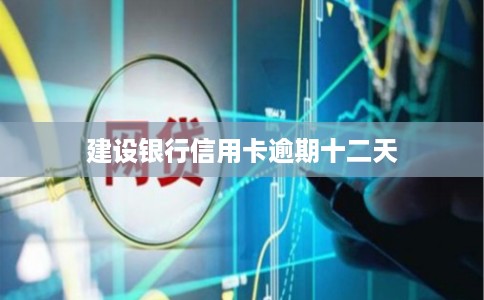 建设银行信用卡逾期十二天