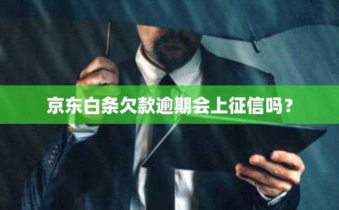 京东白条欠款逾期会上征信吗？