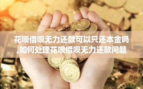 花呗借呗无力还款可以只还本金吗,如何处理花呗借呗无力还款问题