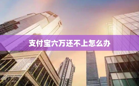 支付宝六万还不上怎么办