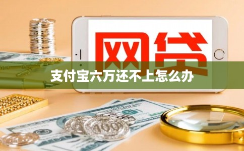 支付宝六万还不上怎么办
