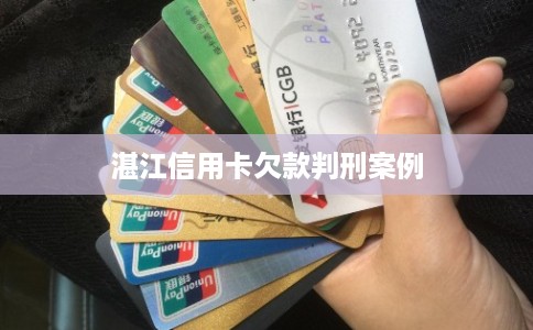 湛江信用卡欠款判刑案例