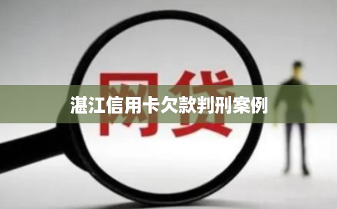 湛江信用卡欠款判刑案例