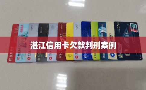 湛江信用卡欠款判刑案例