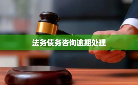 法务债务咨询逾期处理