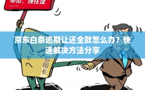 京东白条逾期让还全款怎么办？快速解决方法分享