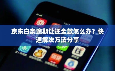 京东白条逾期让还全款怎么办？快速解决方法分享