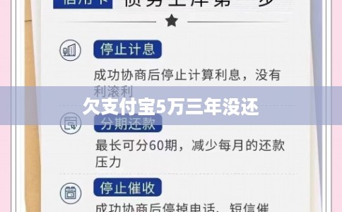 欠支付宝5万三年没还
