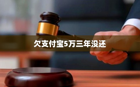 欠支付宝5万三年没还
