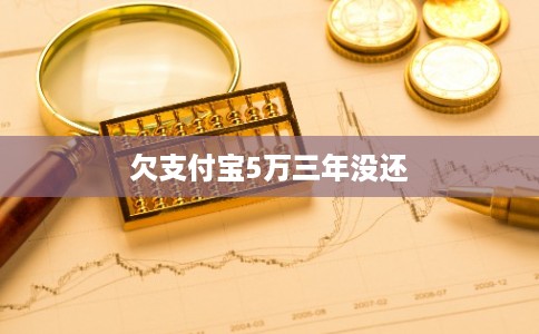 欠支付宝5万三年没还