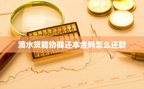 滴水贷能协商还本金吗怎么还款