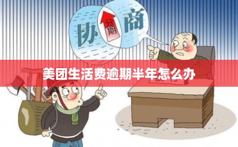 美团生活费逾期半年怎么办