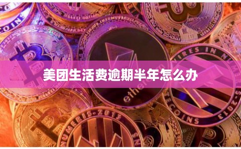 美团生活费逾期半年怎么办