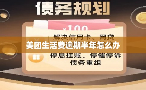 美团生活费逾期半年怎么办