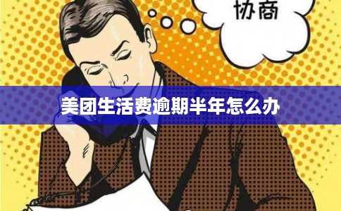 美团生活费逾期半年怎么办