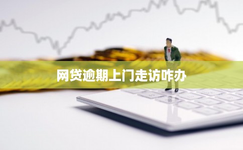网贷逾期上门走访咋办