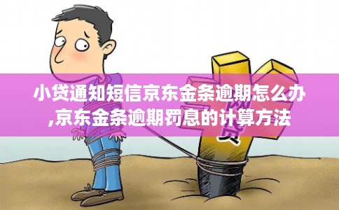 小贷通知短信京东金条逾期怎么办,京东金条逾期罚息的计算方法