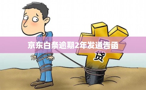 京东白条逾期2年发通告函