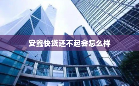 安鑫快贷还不起会怎么样