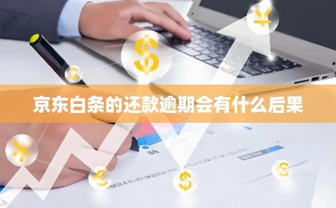京东白条的还款逾期会有什么后果