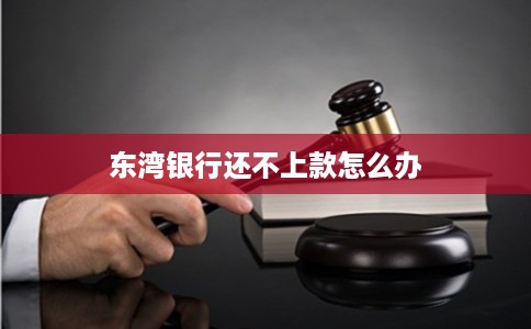 东湾银行还不上款怎么办