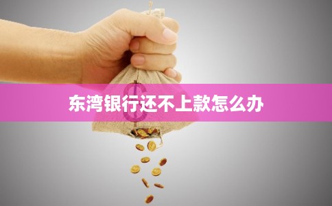 东湾银行还不上款怎么办