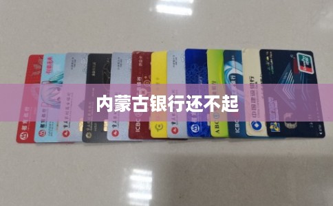 内蒙古银行还不起