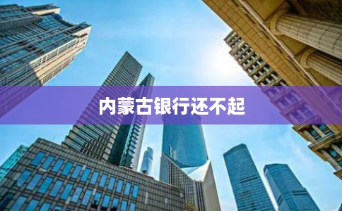 内蒙古银行还不起