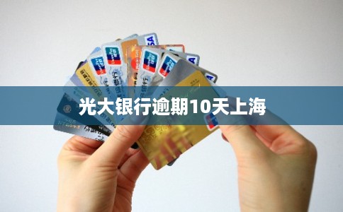 光大银行逾期10天上海