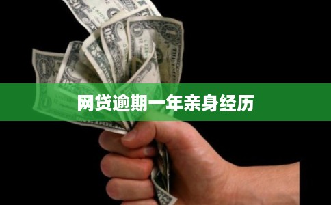 网贷逾期一年亲身经历