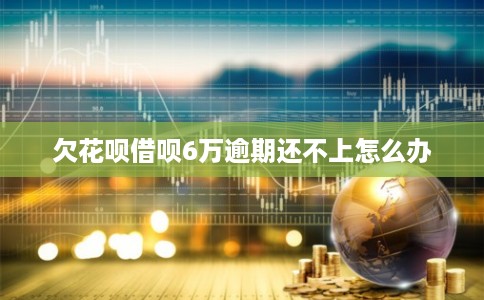 欠花呗借呗6万逾期还不上怎么办