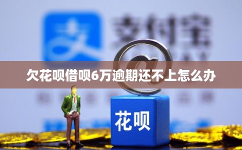 欠花呗借呗6万逾期还不上怎么办