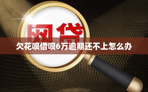 欠花呗借呗6万逾期还不上怎么办