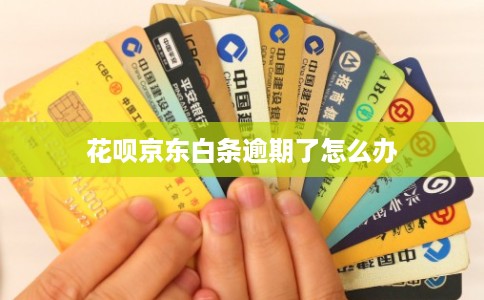 花呗京东白条逾期了怎么办