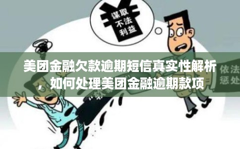 美团金融欠款逾期短信真实性解析，如何处理美团金融逾期款项