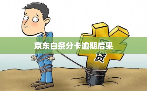 京东白条分卡逾期后果