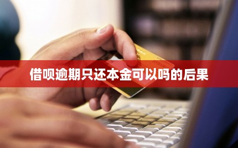 借呗逾期只还本金可以吗的后果
