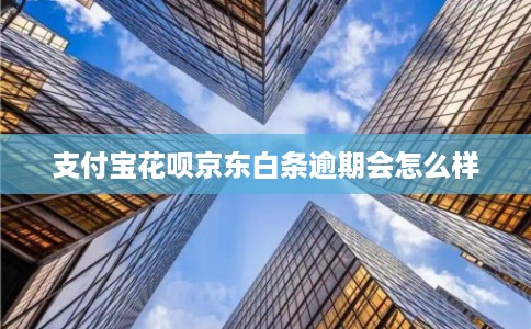 支付宝花呗京东白条逾期会怎么样