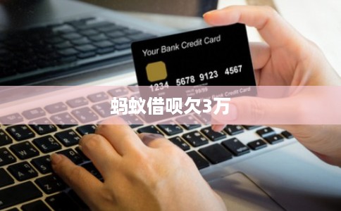 蚂蚁借呗欠3万