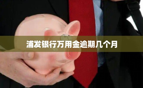 浦发银行万用金逾期几个月
