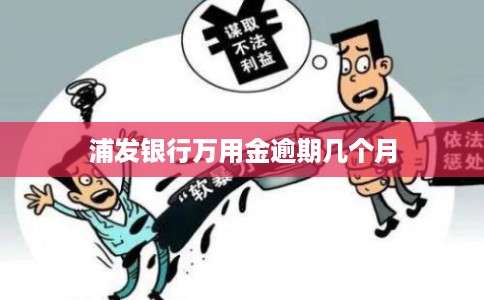 浦发银行万用金逾期几个月