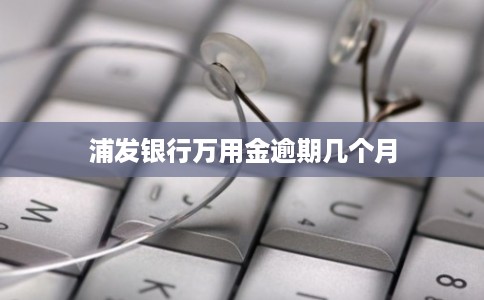 浦发银行万用金逾期几个月